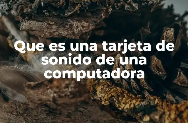 Que es una Tarjeta de Sonido de una Computadora