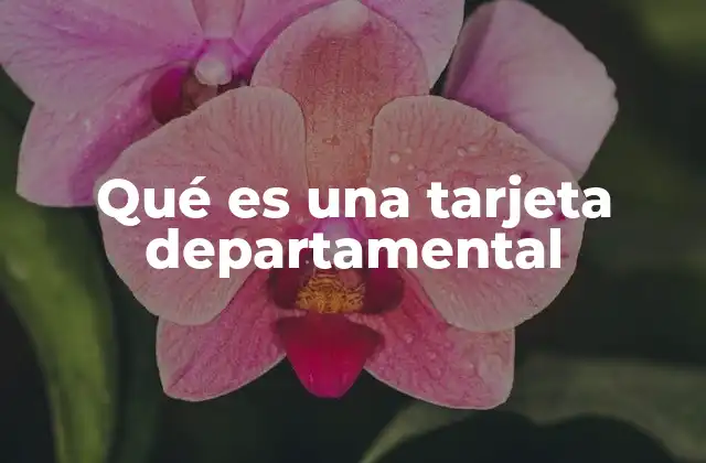 La importancia de las identificaciones locales en sistemas descentralizados