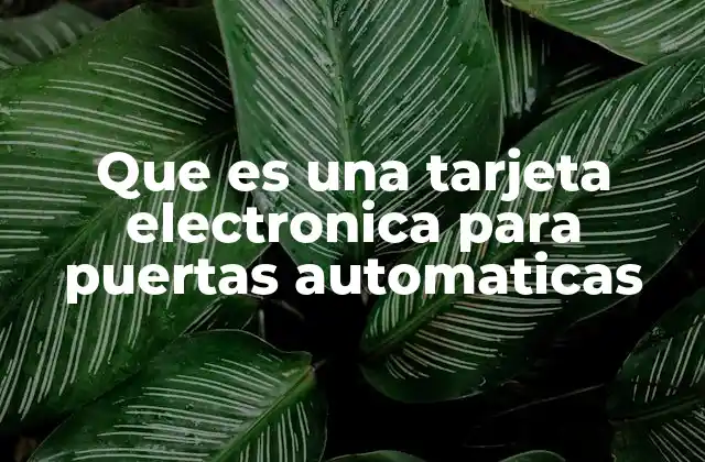 Que es una Tarjeta Electronica para Puertas Automaticas 2 Cómo funcionan los sistemas de acceso con tarjetas electrónicas
