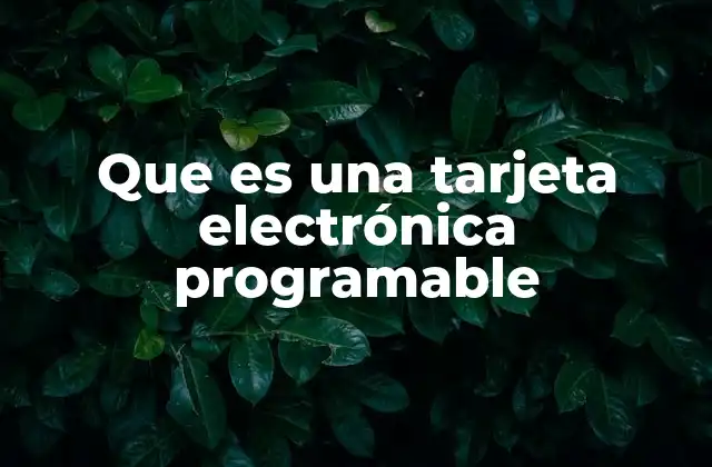 La base tecnológica detrás de las tarjetas programables