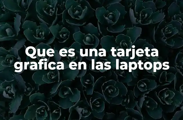 Que es una Tarjeta Grafica en las Laptops
