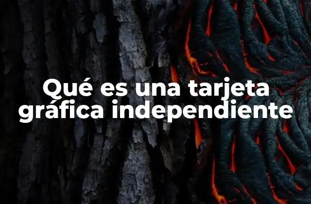 Qué es una Tarjeta Gráfica Independiente