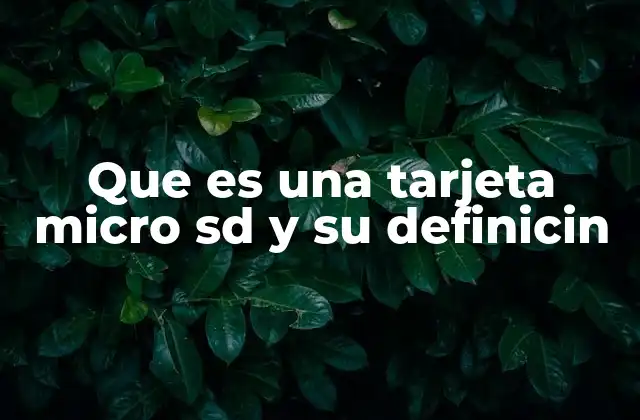 Que es una Tarjeta Micro Sd y Su Definicin 2 El papel de las tarjetas micro SD en el almacenamiento digital