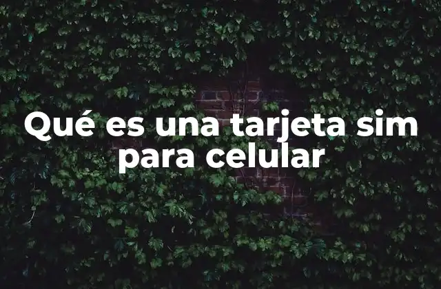 Qué es una Tarjeta Sim para Celular