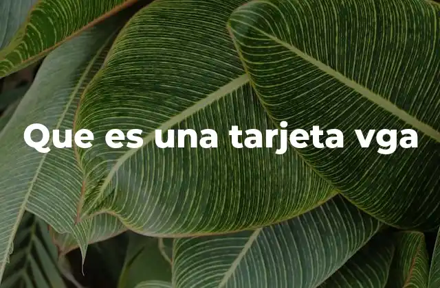 Que es una Tarjeta Vga