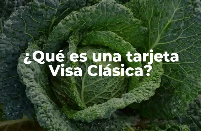 ¿qué es una Tarjeta Visa Clásica?