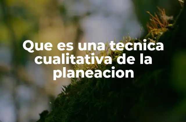 Que es una Tecnica Cualitativa de la Planeacion