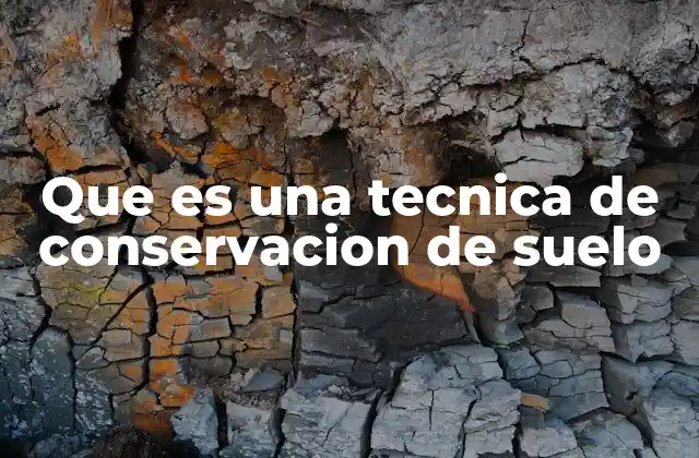 Que es una Tecnica de Conservacion de Suelo