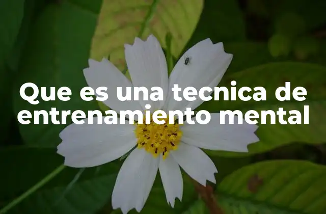 Que es una Tecnica de Entrenamiento Mental