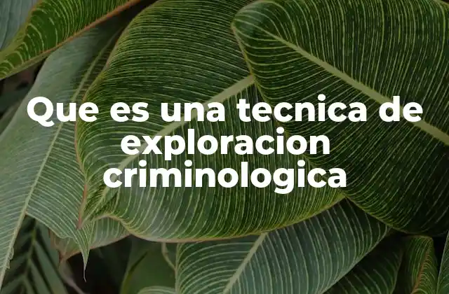 Que es una Tecnica de Exploracion Criminologica