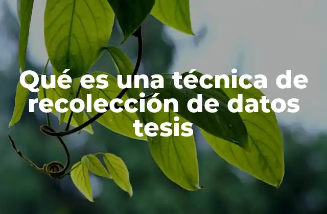 Qué es una Técnica de Recolección de Datos Tesis