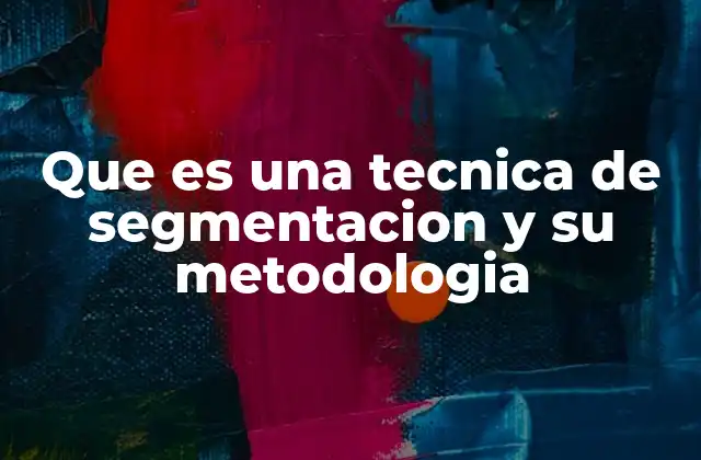 Que es una Tecnica de Segmentacion y Su Metodologia
