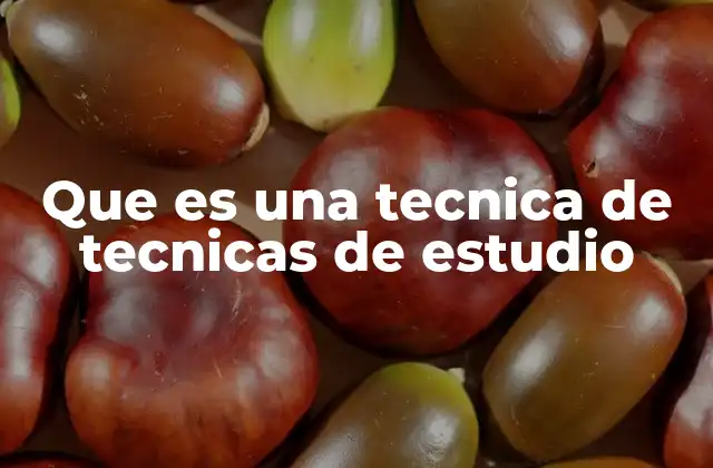 Que es una Tecnica de Tecnicas de Estudio