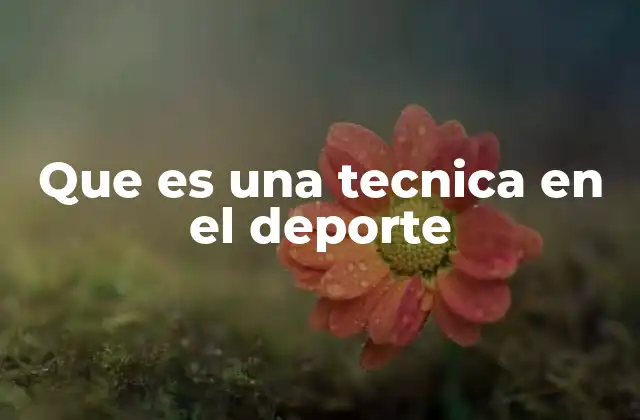 Que es una Tecnica en el Deporte