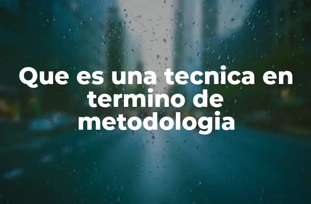 Que es una Tecnica en Termino de Metodologia
