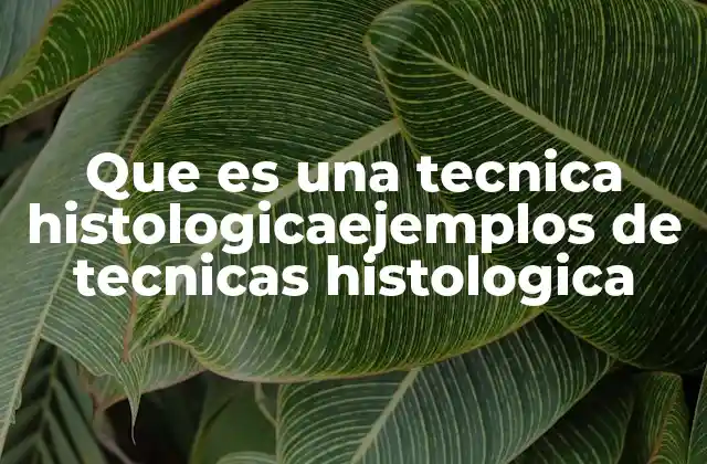 Que es una Tecnica Histologicaejemplos de Tecnicas Histologica
