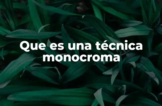 Que es una Técnica Monocroma