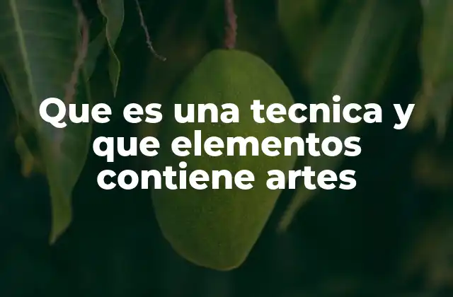 Que es una Tecnica y que Elementos Contiene Artes 2 La importancia de las técnicas artísticas en la creatividad