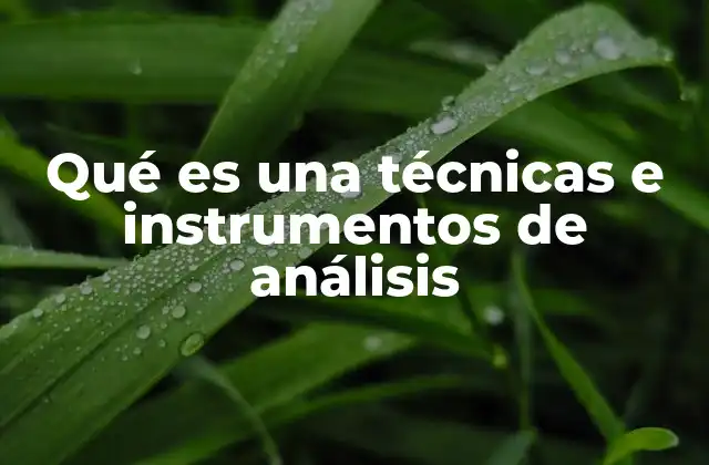 Qué es una Técnicas e Instrumentos de Análisis 2 Cómo se aplican las técnicas e instrumentos en diferentes contextos