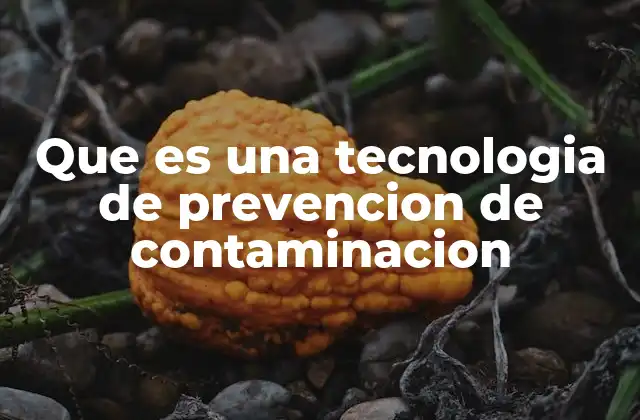 Que es una Tecnologia de Prevencion de Contaminacion