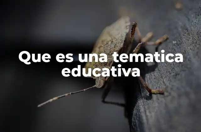Que es una Tematica Educativa
