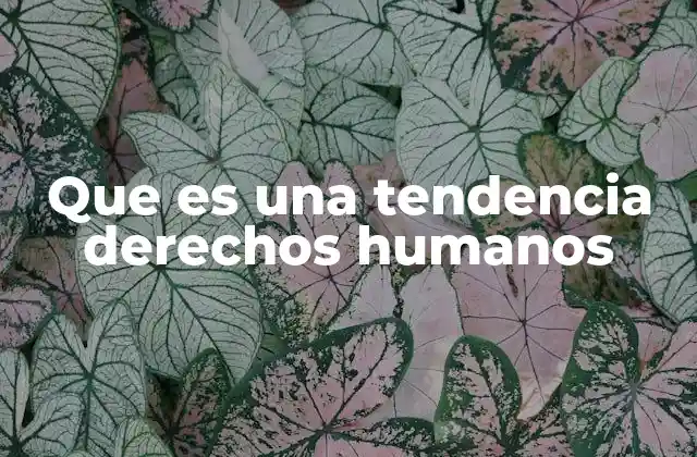 Que es una Tendencia Derechos Humanos