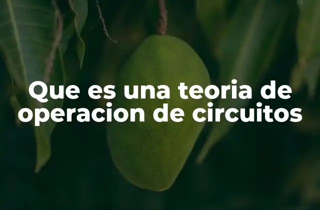 Que es una Teoria de Operacion de Circuitos