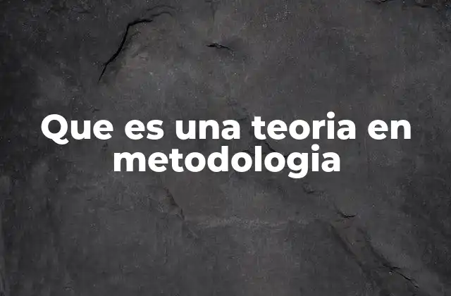 Que es una Teoria en Metodologia