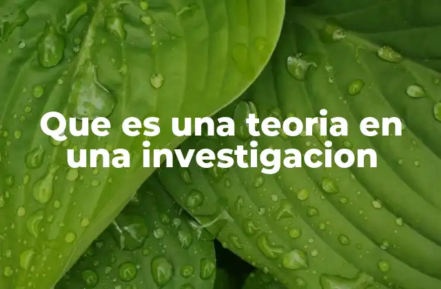 Que es una Teoria en una Investigacion