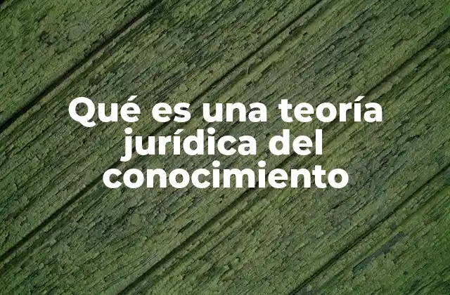 Qué es una Teoría Jurídica Del Conocimiento