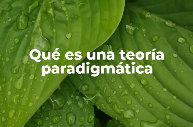 Qué es una Teoría Paradigmática
