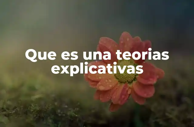 Que es una Teorias Explicativas