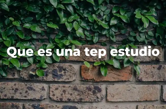 Que es una Tep Estudio