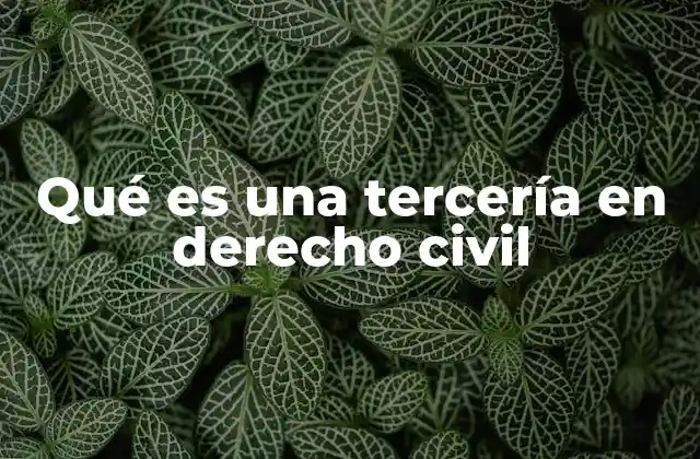 Qué es una Tercería en Derecho Civil