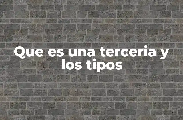 Que es una Terceria y los Tipos