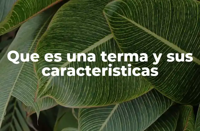 Que es una Terma y Sus Caracteristicas