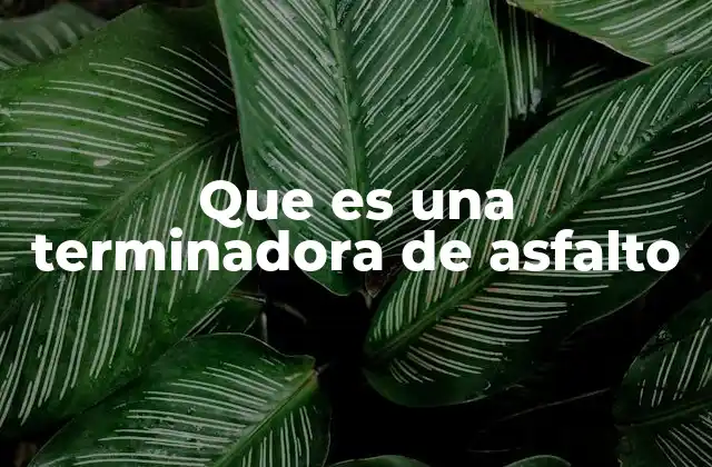 Que es una Terminadora de Asfalto