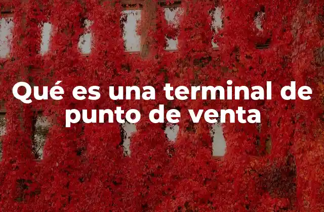 Qué es una Terminal de Punto de Venta