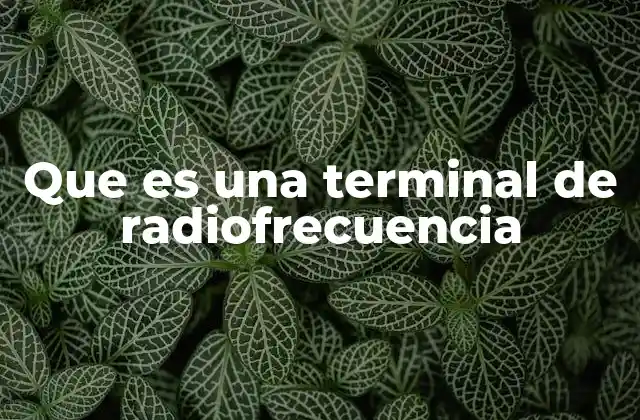 Que es una Terminal de Radiofrecuencia