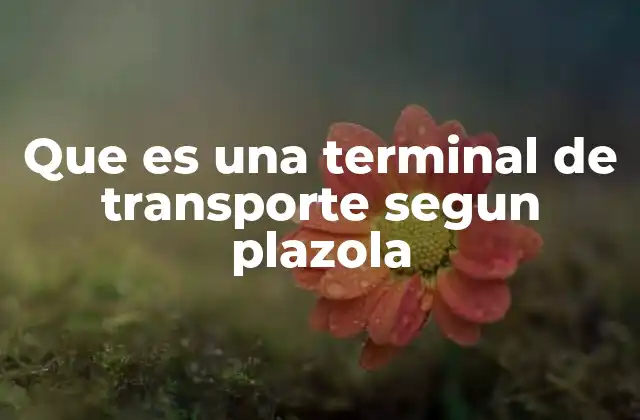 Que es una Terminal de Transporte Segun Plazola