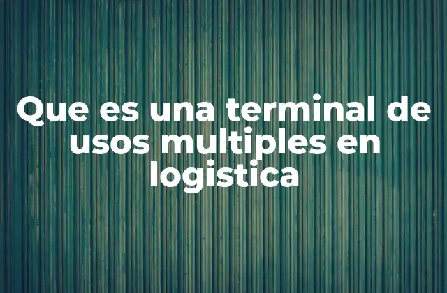 Que es una Terminal de Usos Multiples en Logistica