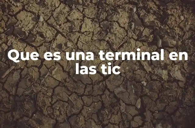 Que es una Terminal en las Tic