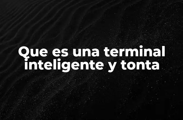 Que es una Terminal Inteligente y Tonta