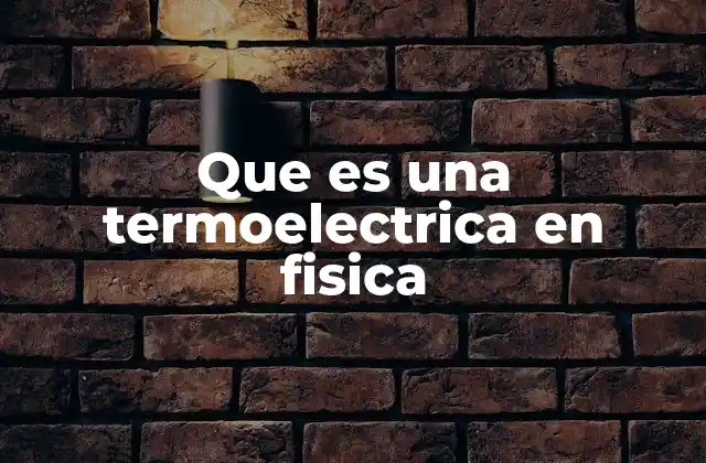 Que es una Termoelectrica en Fisica