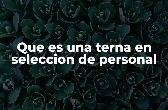 Que es una Terna en Seleccion de Personal 2 La importancia de la terna en los procesos de selección