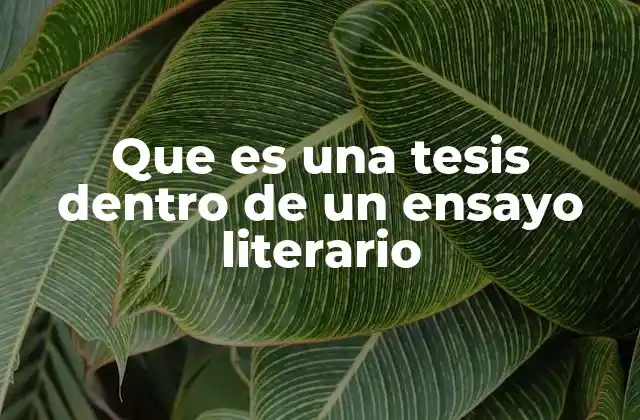 Que es una Tesis Dentro de un Ensayo Literario