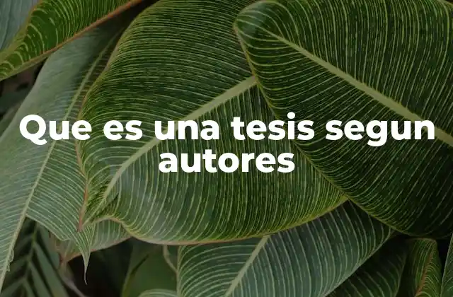 Que es una Tesis Segun Autores