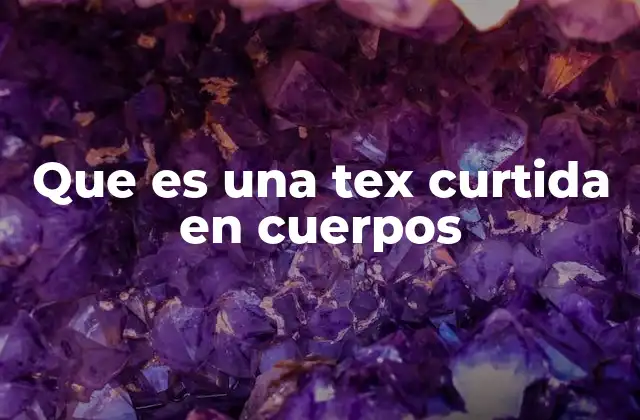 Que es una Tex Curtida en Cuerpos