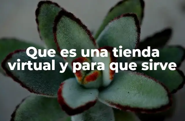 Que es una Tienda Virtual y para que Sirve