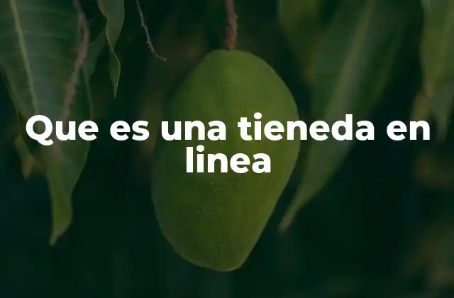 Que es una Tieneda en Linea